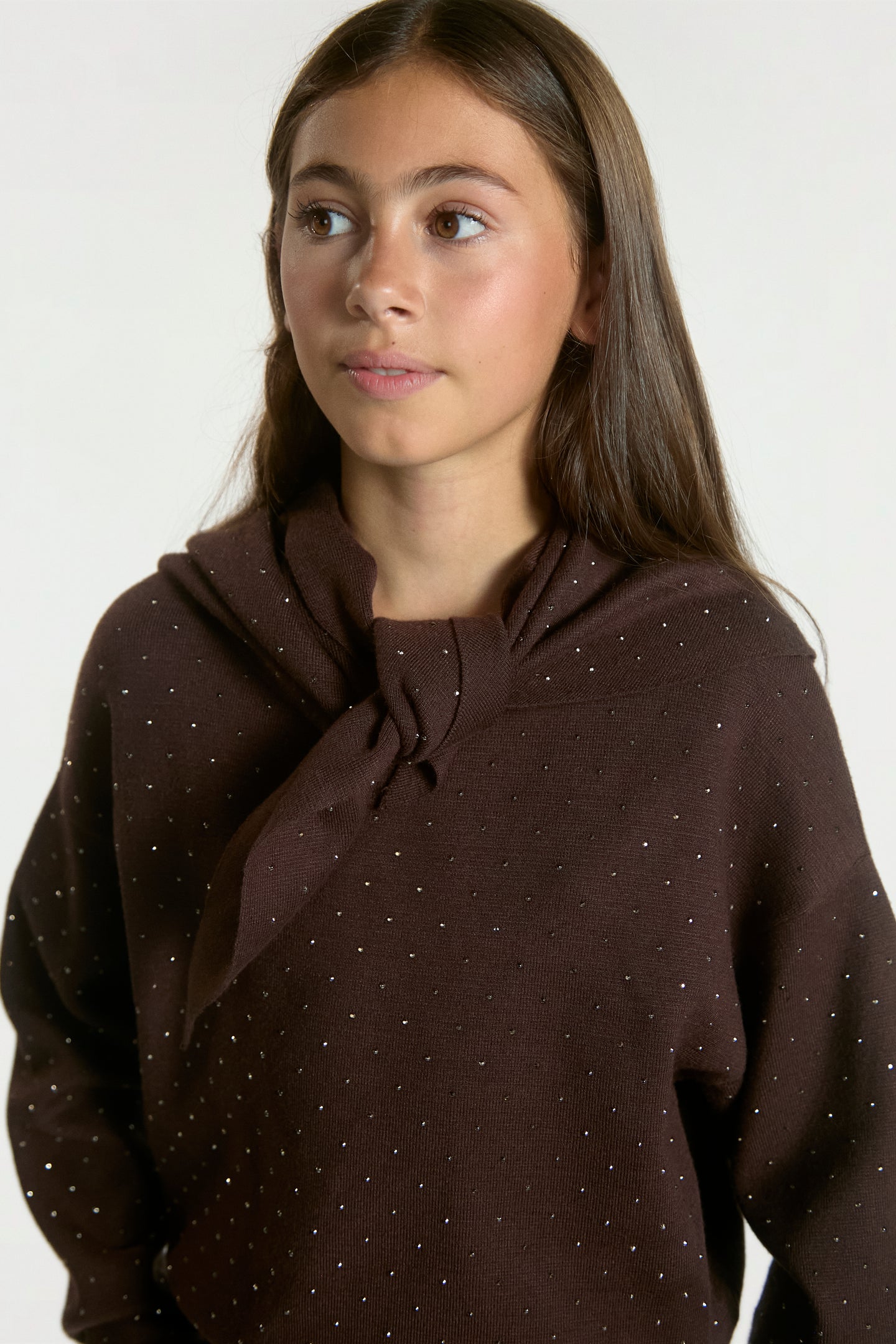 Saren trui bruin
