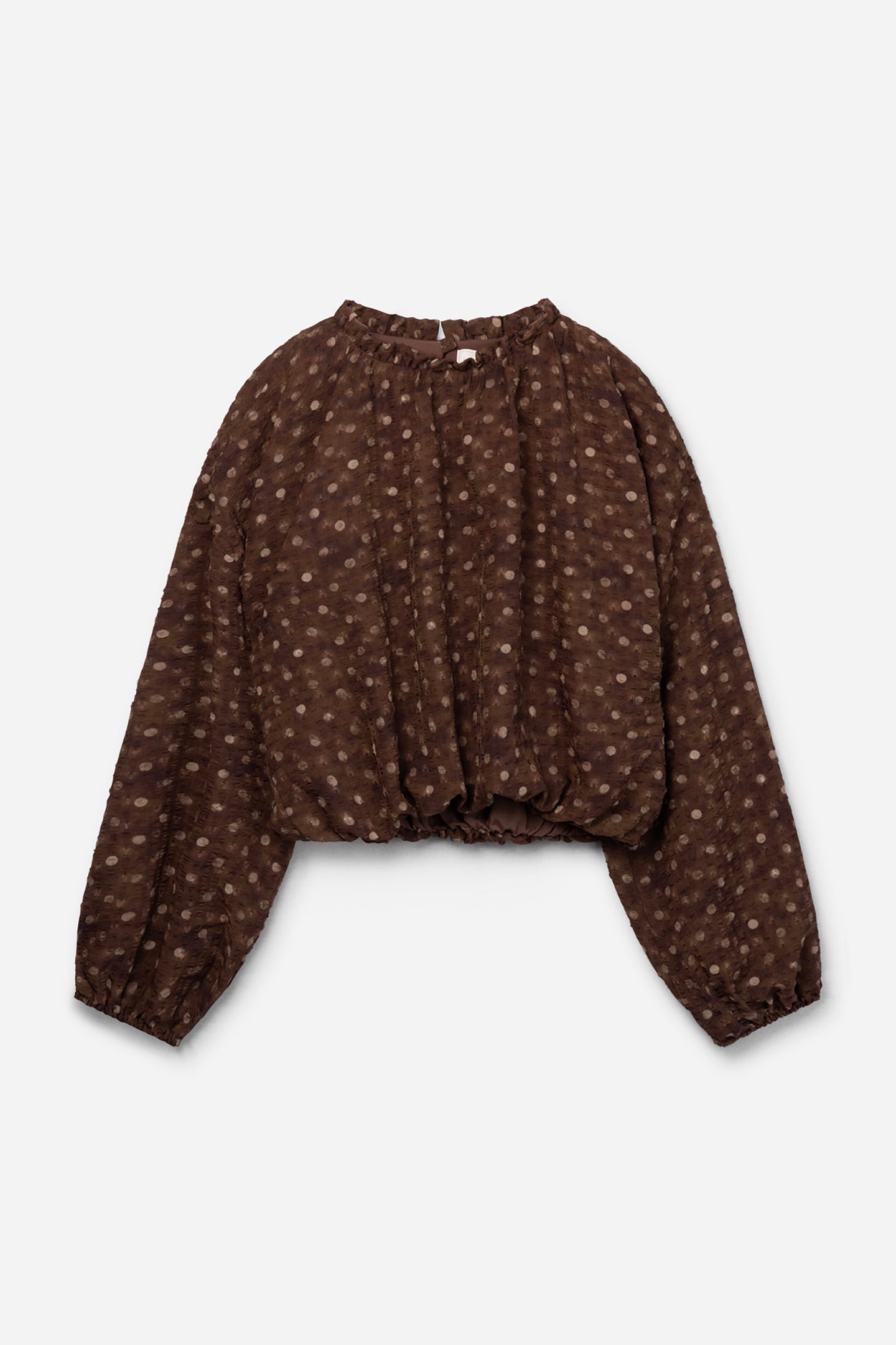 Cristy top bruin