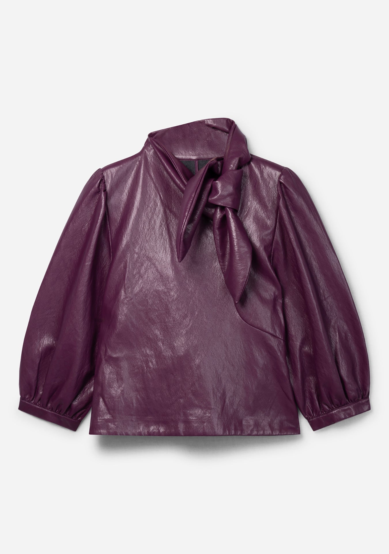 Pemmy top plum